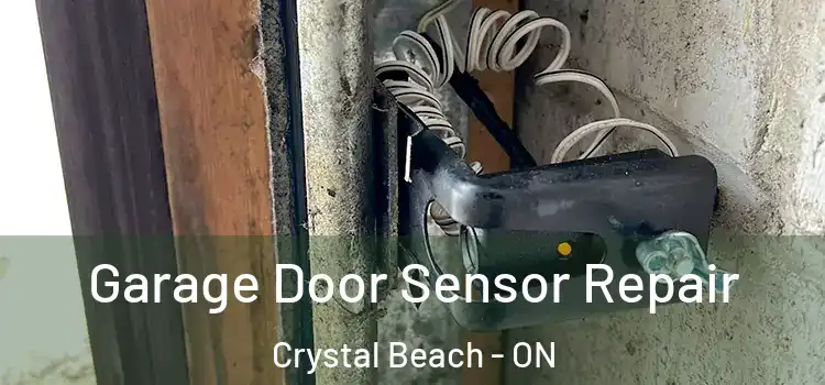 Garage Door Sensor Repair Crystal Beach - ON
