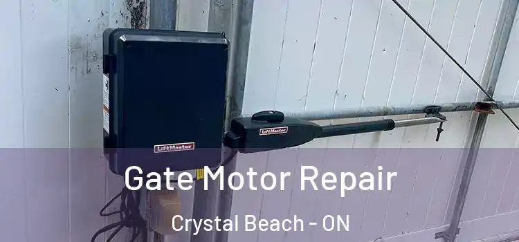 Gate Motor Repair Crystal Beach - ON