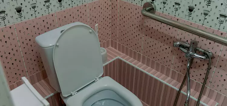 Meeting Diverse Needs With Accessible Restroom Solutions in Crystal Beach, ON